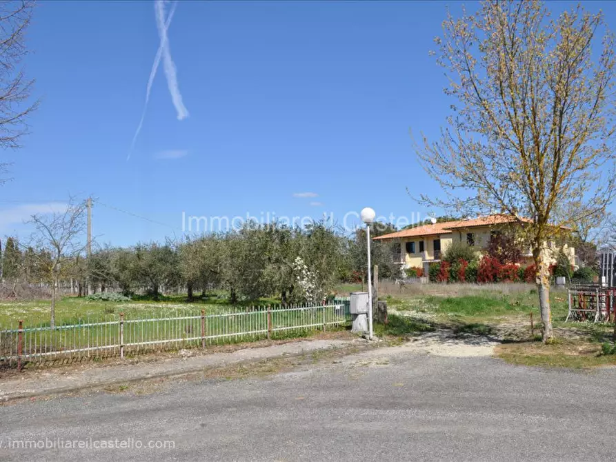Immagine 3 di Terreno in vendita  a Castiglione Del Lago