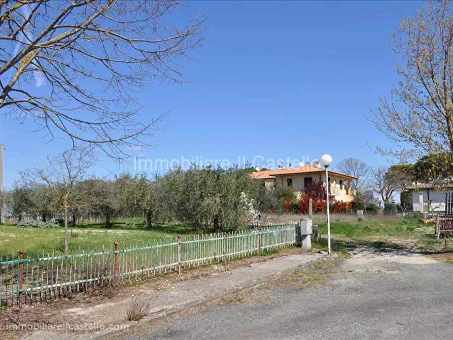 Immagine 4 di Terreno in vendita  a Castiglione Del Lago
