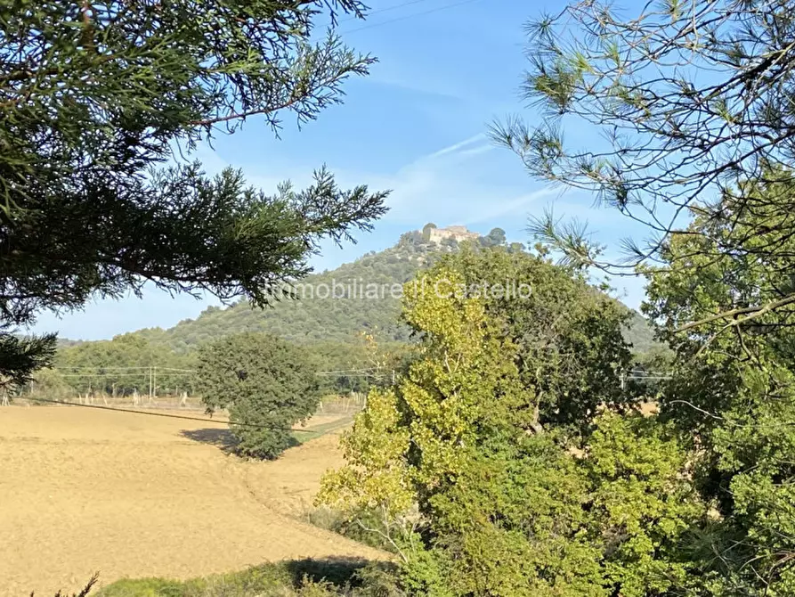 Immagine 20 di Rustico / casale in vendita  in via dei mandorli a Panicale