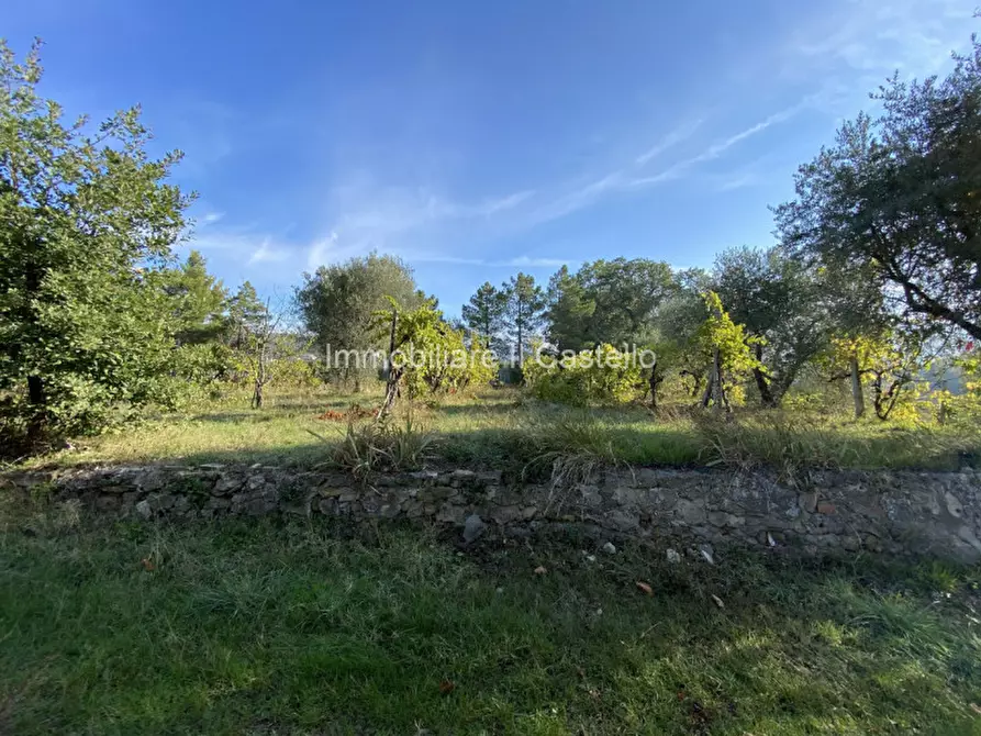 Immagine 21 di Rustico / casale in vendita  in via dei mandorli a Panicale