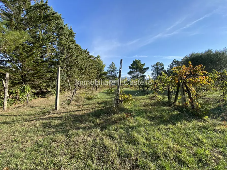 Immagine 23 di Rustico / casale in vendita  in via dei mandorli a Panicale