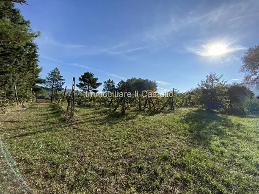 Immagine 25 di Rustico / casale in vendita  in via dei mandorli a Panicale