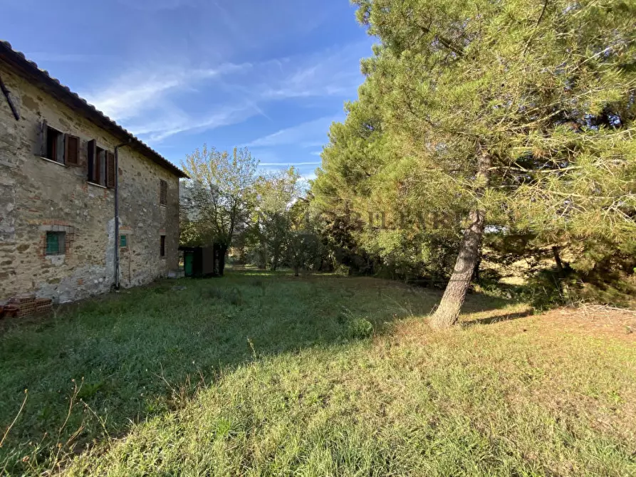 Immagine 28 di Rustico / casale in vendita  in via dei mandorli a Panicale