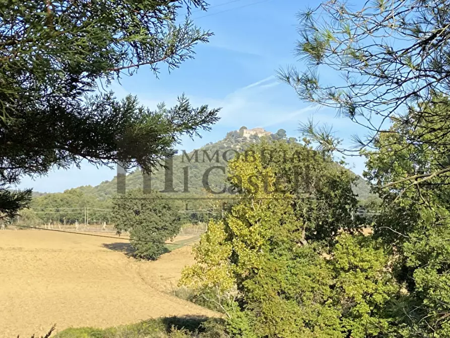 Immagine 29 di Rustico / casale in vendita  in via dei mandorli a Panicale