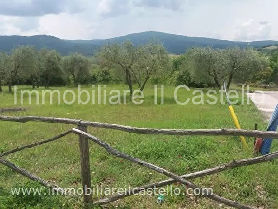 Immagine 2 di Terreno in vendita  a Panicale