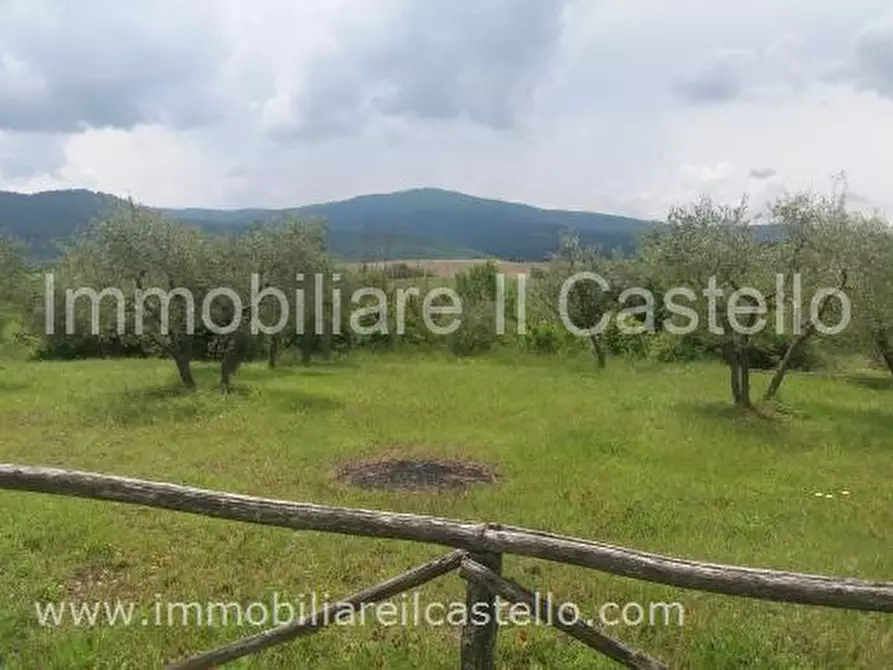 Immagine 3 di Terreno in vendita  a Panicale