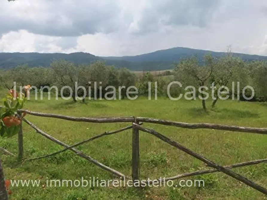 Immagine 4 di Terreno in vendita  a Panicale