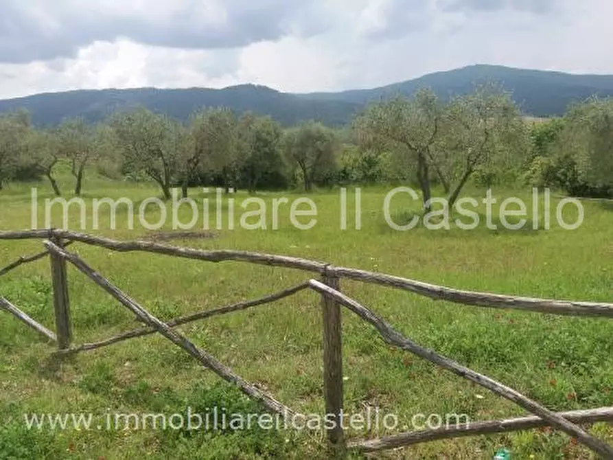 Immagine 5 di Terreno in vendita  a Panicale