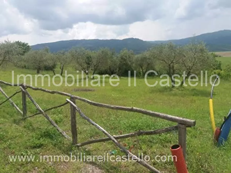 Immagine 6 di Terreno in vendita  a Panicale