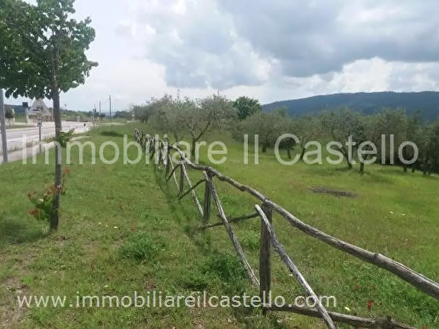 Immagine 7 di Terreno in vendita  a Panicale