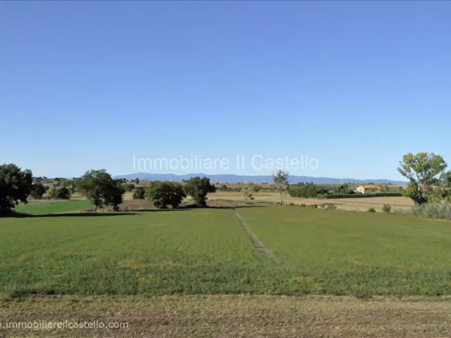 Immagine 18 di Rustico / casale in vendita  in Colgiordano a Panicale
