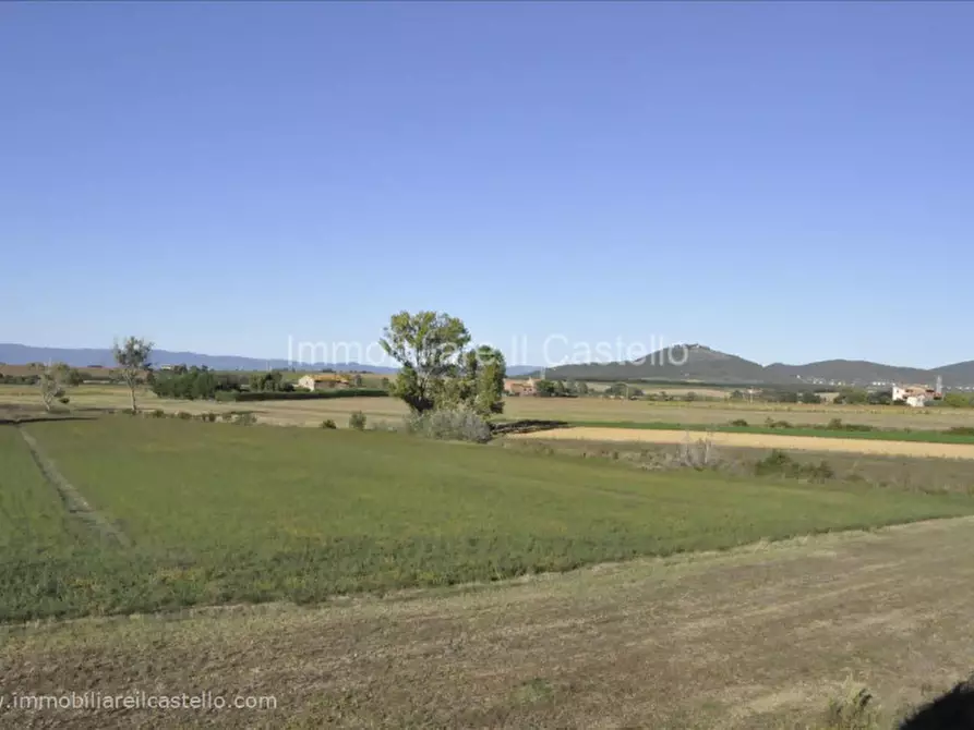 Immagine 19 di Rustico / casale in vendita  in Colgiordano a Panicale