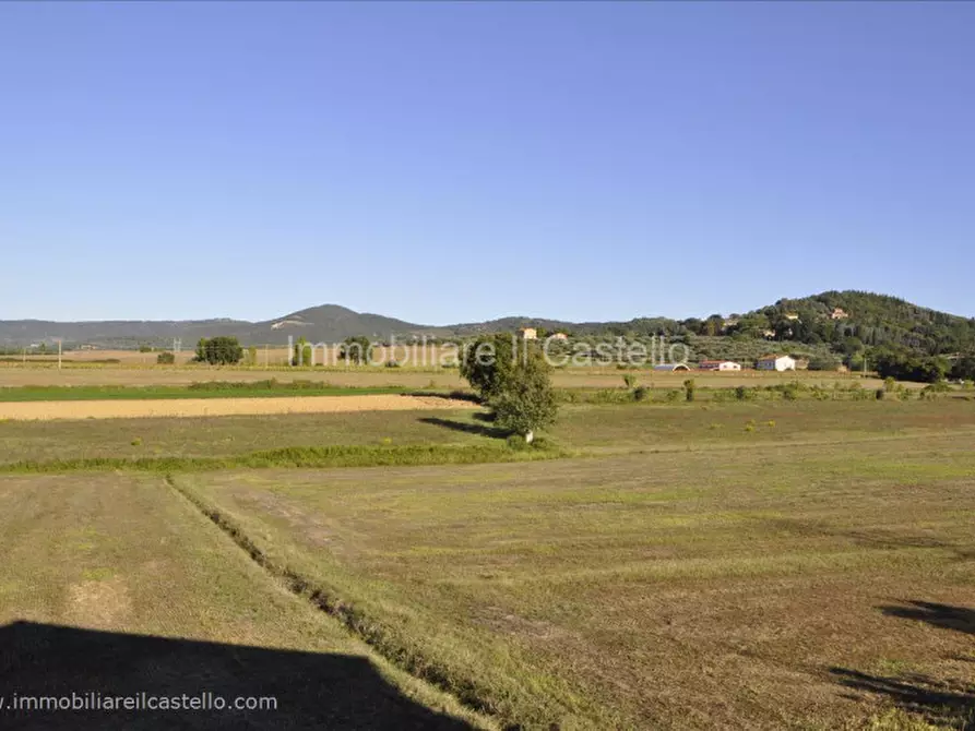 Immagine 21 di Rustico / casale in vendita  in Colgiordano a Panicale
