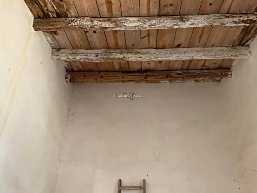 Immagine 23 di Rustico / casale in vendita  in Strada Provinciale 56 a Scicli