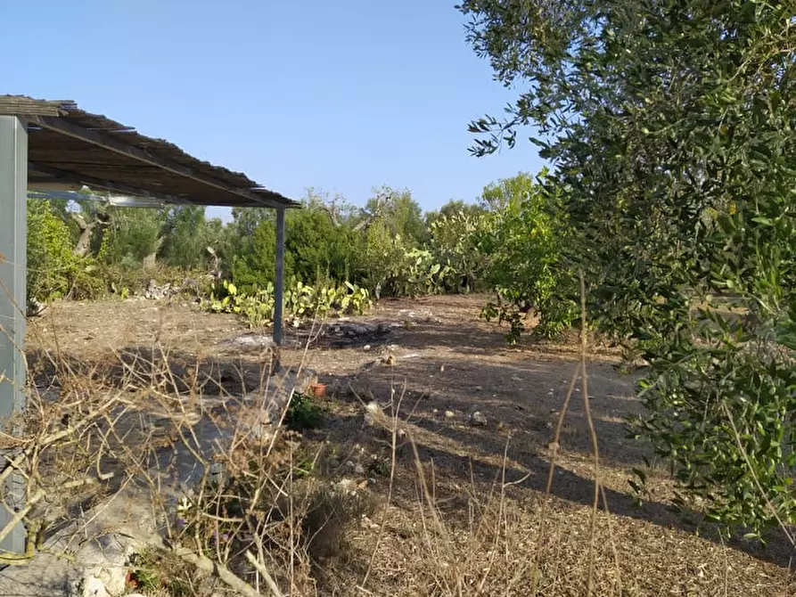 Immagine 27 di Villa in vendita  in contrada sessana grande a Ostuni
