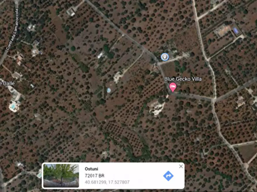 Immagine 28 di Villa in vendita  in contrada sessana grande a Ostuni