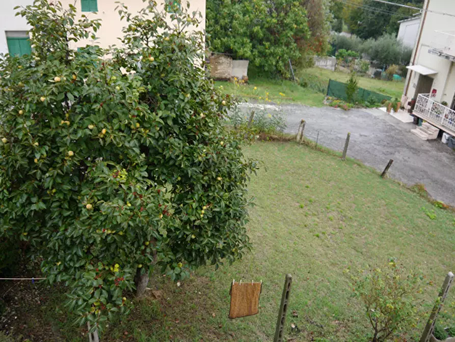 Immagine 8 di Appartamento in vendita  in SENIGALLIESE a Ostra