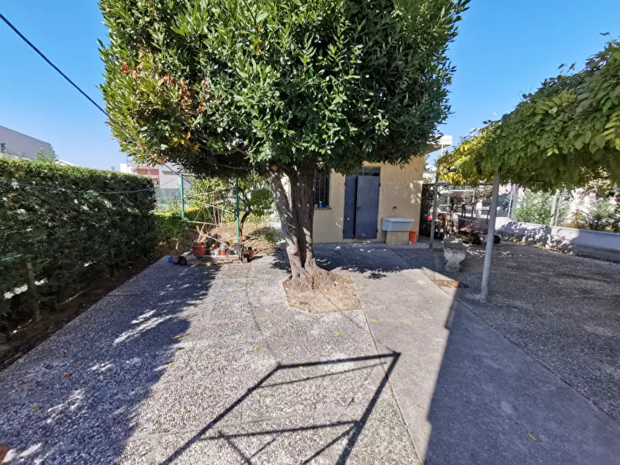 Immagine 9 di Camera in affitto  a Legnaro