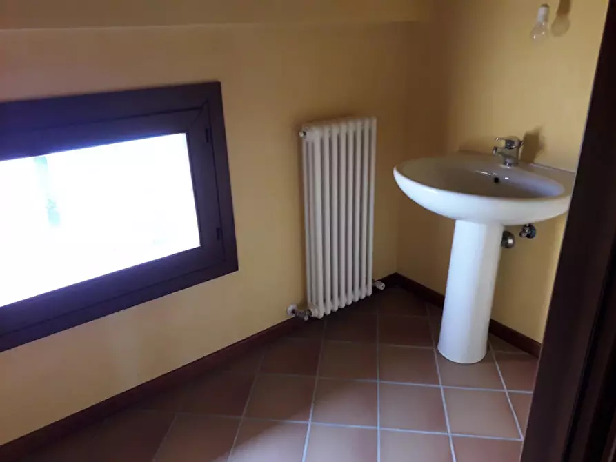 Immagine 21 di Villa in vendita  a Badia Polesine