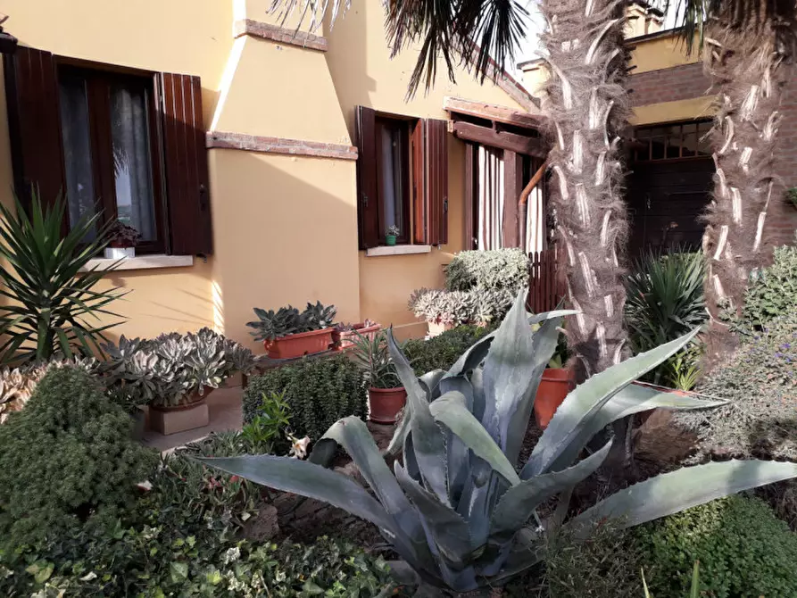 Immagine 24 di Villa in vendita  a Badia Polesine