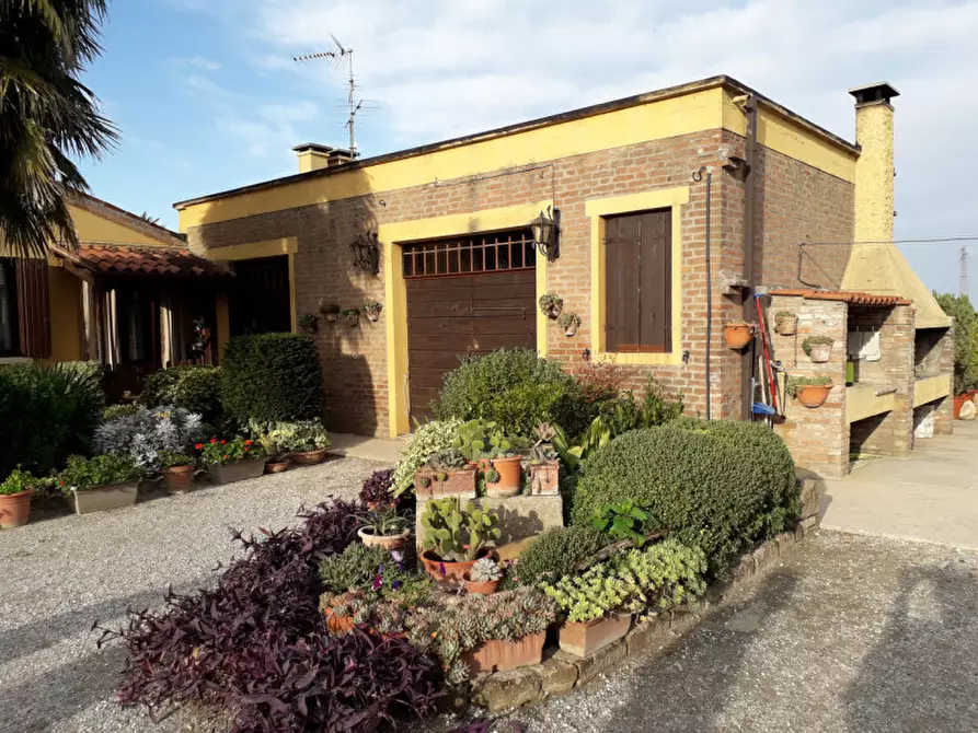 Immagine 25 di Villa in vendita  a Badia Polesine