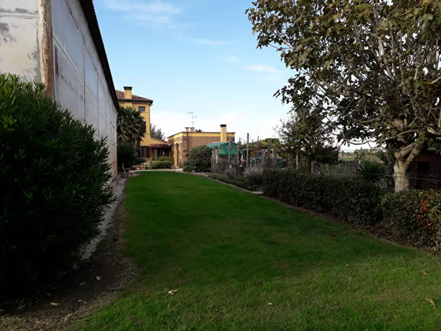 Immagine 26 di Villa in vendita  a Badia Polesine