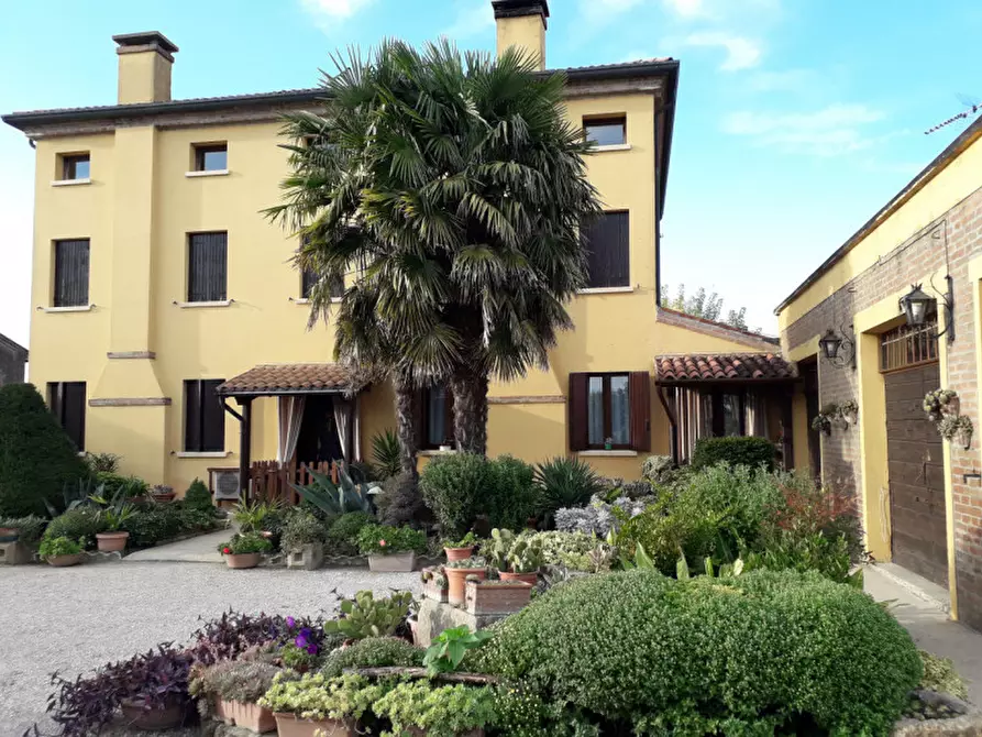 Immagine 27 di Villa in vendita  a Badia Polesine