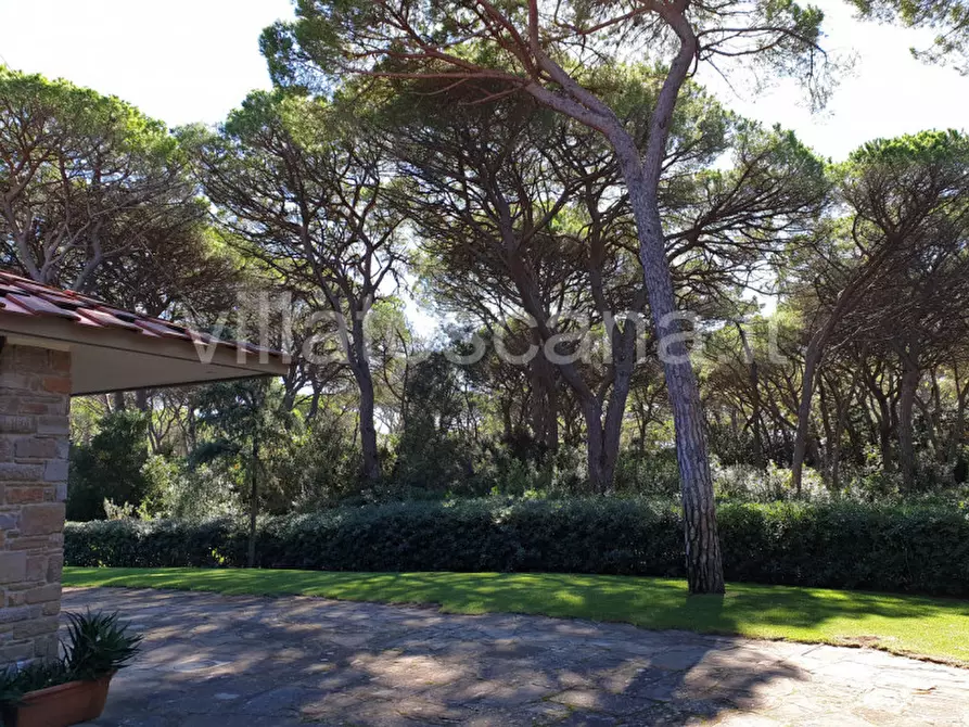 Immagine 8 di Villa in vendita  in Pineta di Roccamare a Castiglione Della Pescaia