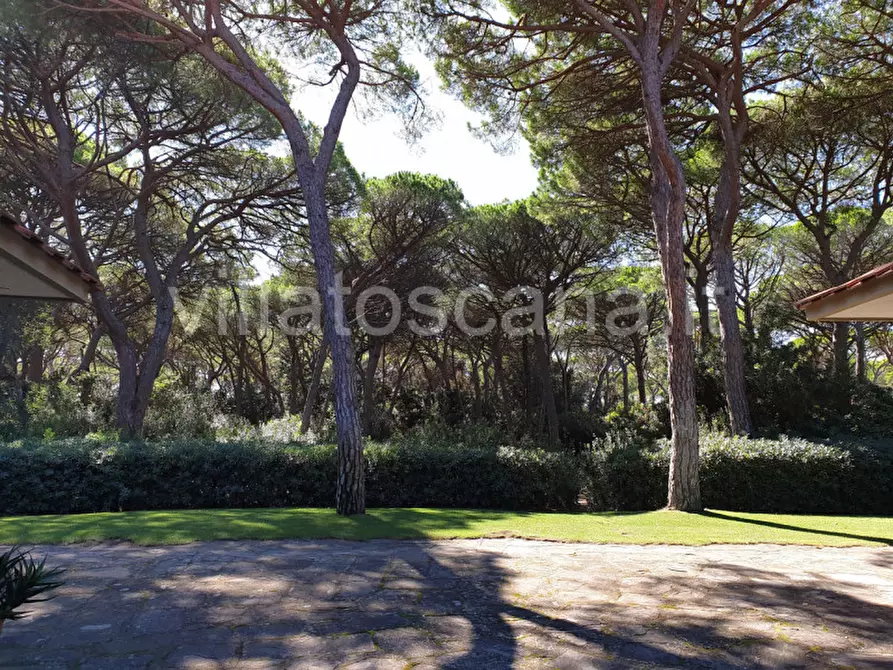 Immagine 9 di Villa in vendita  in Pineta di Roccamare a Castiglione Della Pescaia