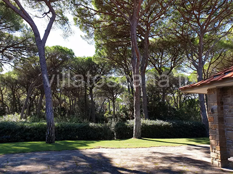 Immagine 10 di Villa in vendita  in Pineta di Roccamare a Castiglione Della Pescaia