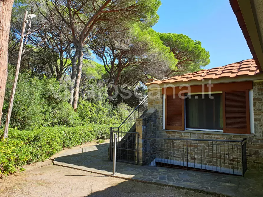 Immagine 13 di Villa in vendita  in Pineta di Roccamare a Castiglione Della Pescaia