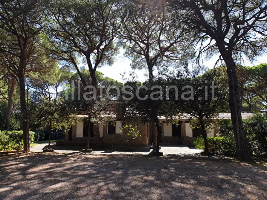 Immagine 15 di Villa in vendita  in Pineta di Roccamare a Castiglione Della Pescaia