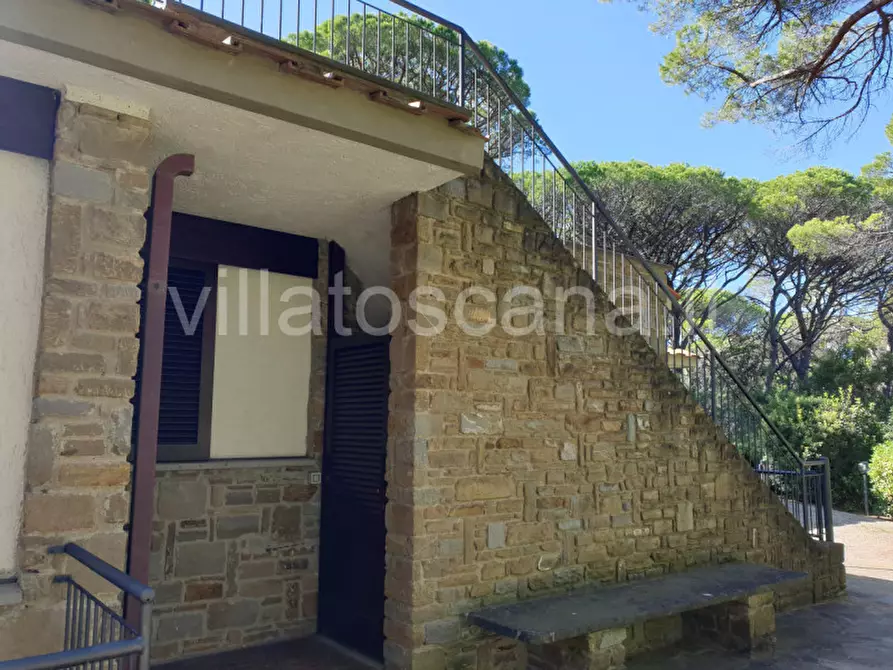 Immagine 18 di Villa in vendita  in Pineta di Roccamare a Castiglione Della Pescaia