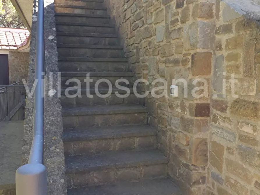 Immagine 19 di Villa in vendita  in Pineta di Roccamare a Castiglione Della Pescaia