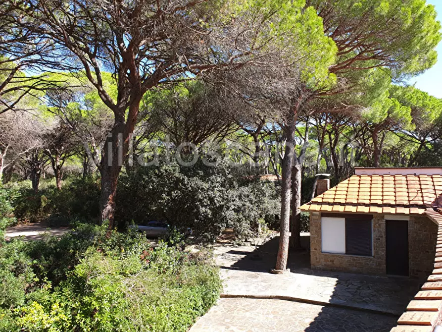 Immagine 20 di Villa in vendita  in Pineta di Roccamare a Castiglione Della Pescaia