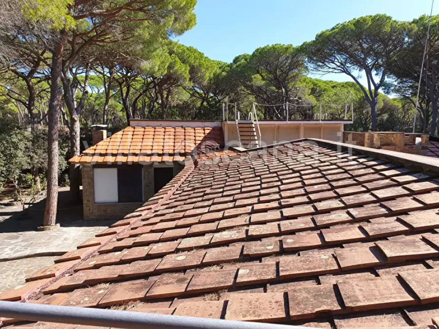 Immagine 21 di Villa in vendita  in Pineta di Roccamare a Castiglione Della Pescaia