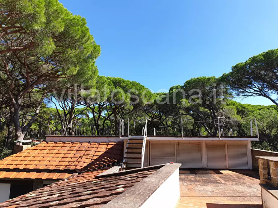 Immagine 22 di Villa in vendita  in Pineta di Roccamare a Castiglione Della Pescaia