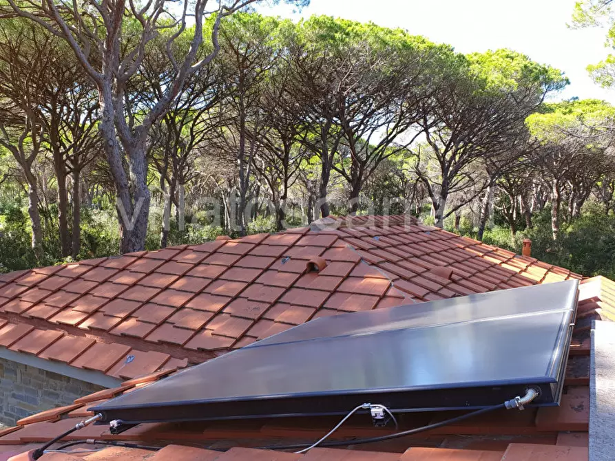 Immagine 26 di Villa in vendita  in Pineta di Roccamare a Castiglione Della Pescaia