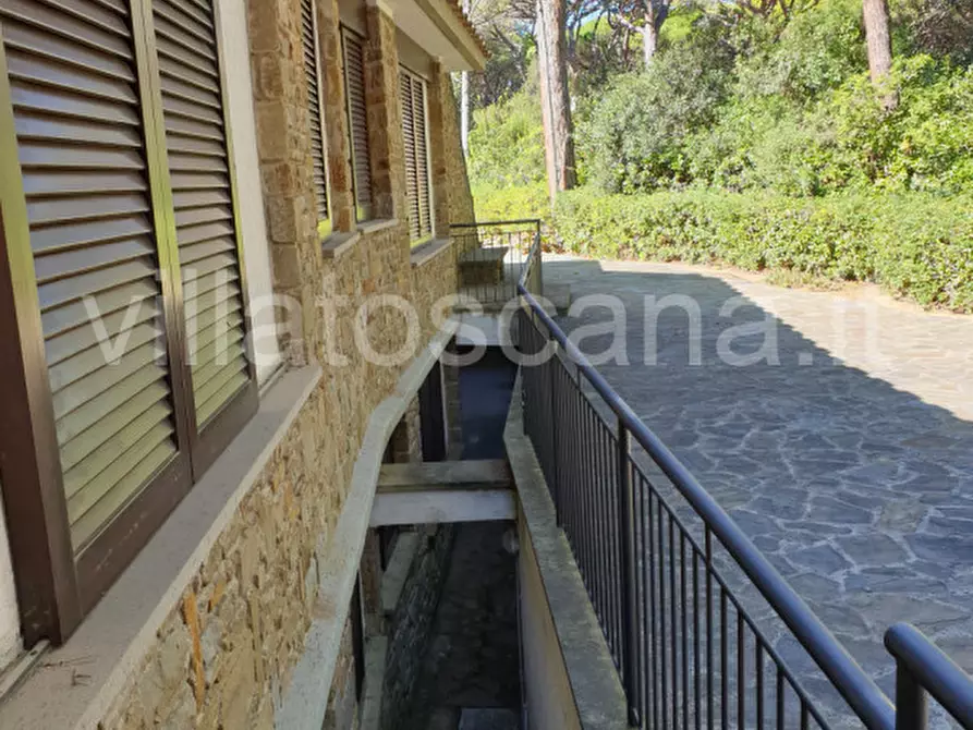 Immagine 66 di Villa in vendita  in Pineta di Roccamare a Castiglione Della Pescaia