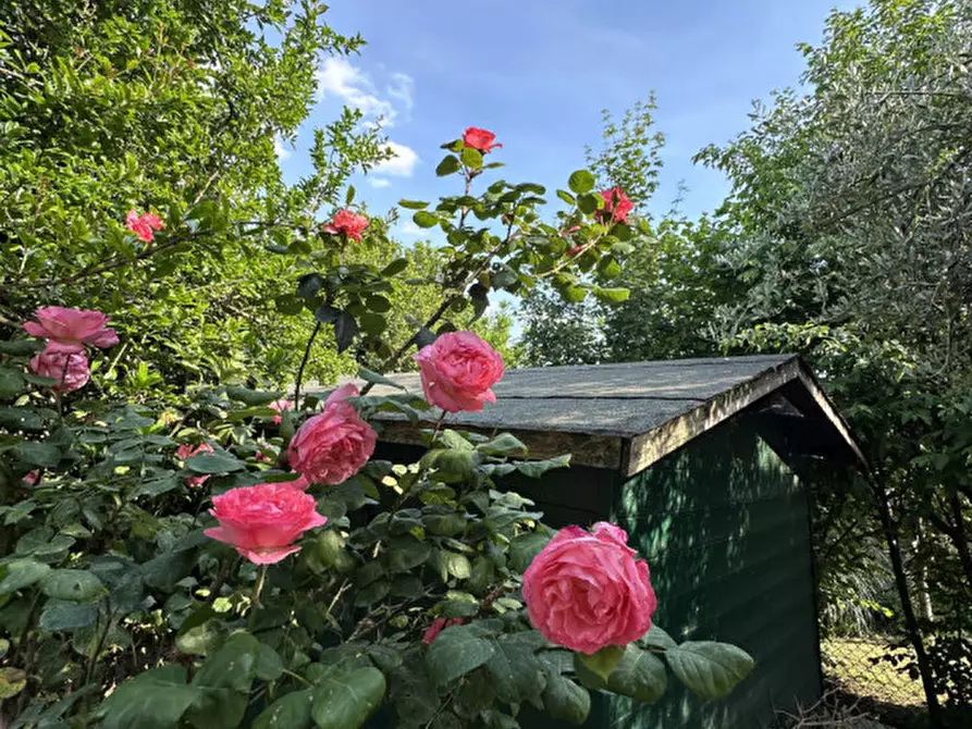 Immagine 7 di Casa indipendente in affitto  in Via Callecurta 20 a Monteviale