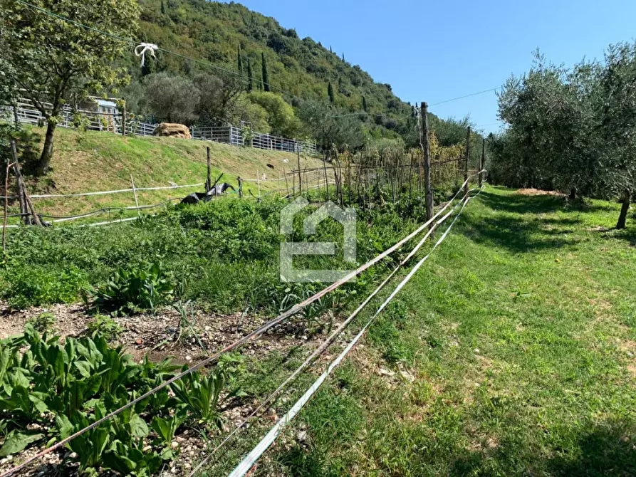 Immagine 5 di Terreno in vendita  in via castello a Toscolano-Maderno