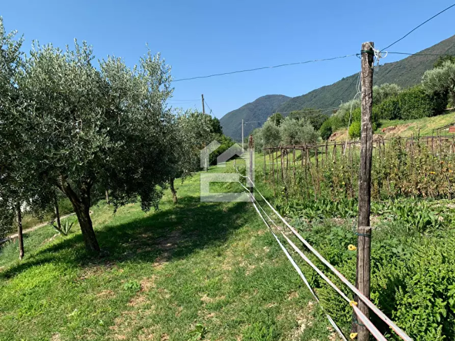 Immagine 7 di Terreno in vendita  in via castello a Toscolano-Maderno