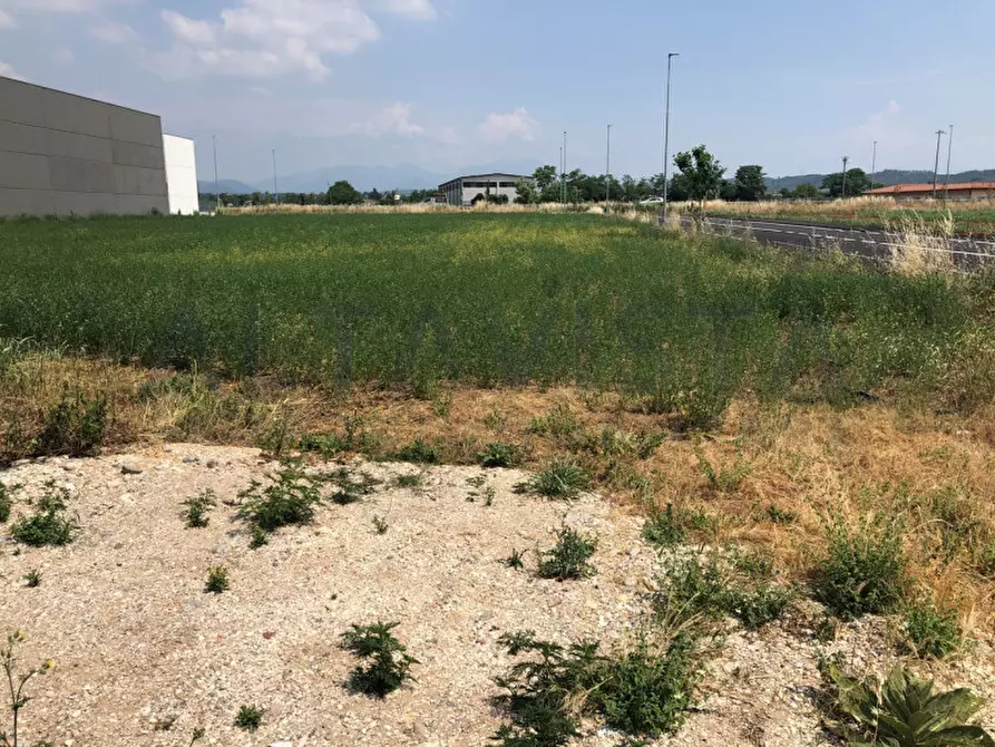 Immagine 3 di Terreno in vendita  in Via Borello a Bedizzole