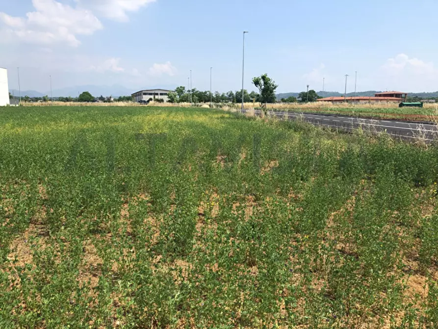 Immagine 4 di Terreno in vendita  in Via Borello a Bedizzole