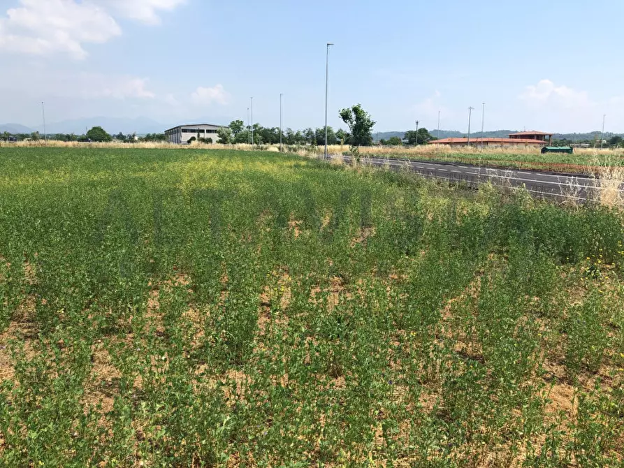 Immagine 5 di Terreno in vendita  in Via Borello a Bedizzole