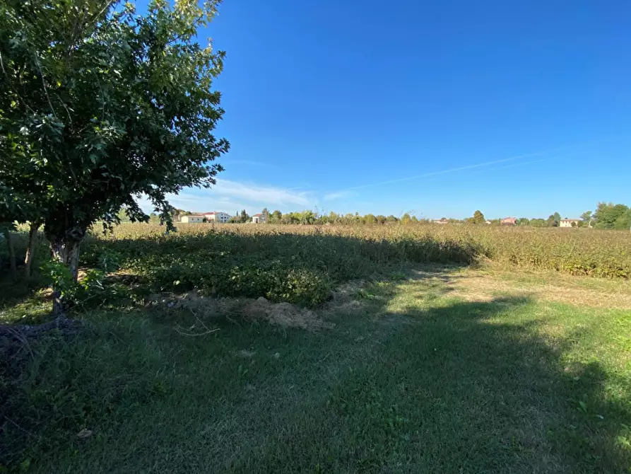 Immagine 1 di Terreno in vendita  in Via Boccalara a Cervarese Santa Croce