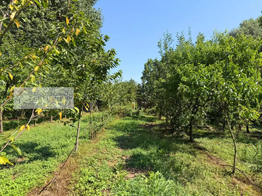 Immagine 41 di Casa bifamiliare in vendita  a Zero Branco