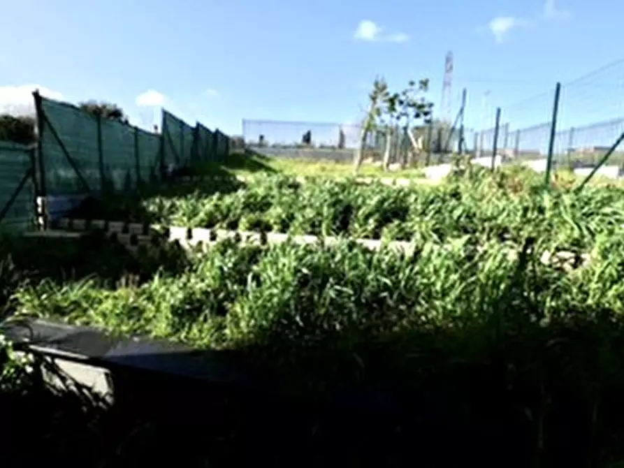 Immagine 15 di Camera in affitto  in via fraconalto a Roma