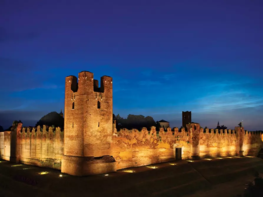 Immagine 3 di Attività commerciale in vendita  a Castelfranco Veneto