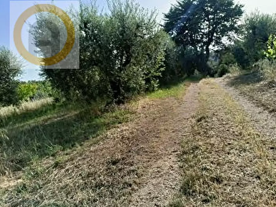 Immagine 2 di Terreno in vendita  a Marostica